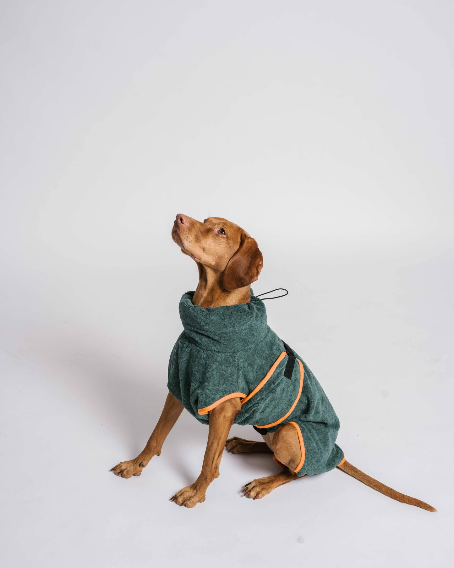 Gula - Hundebademantel / Hundetrockentuch - Grün & Orange
