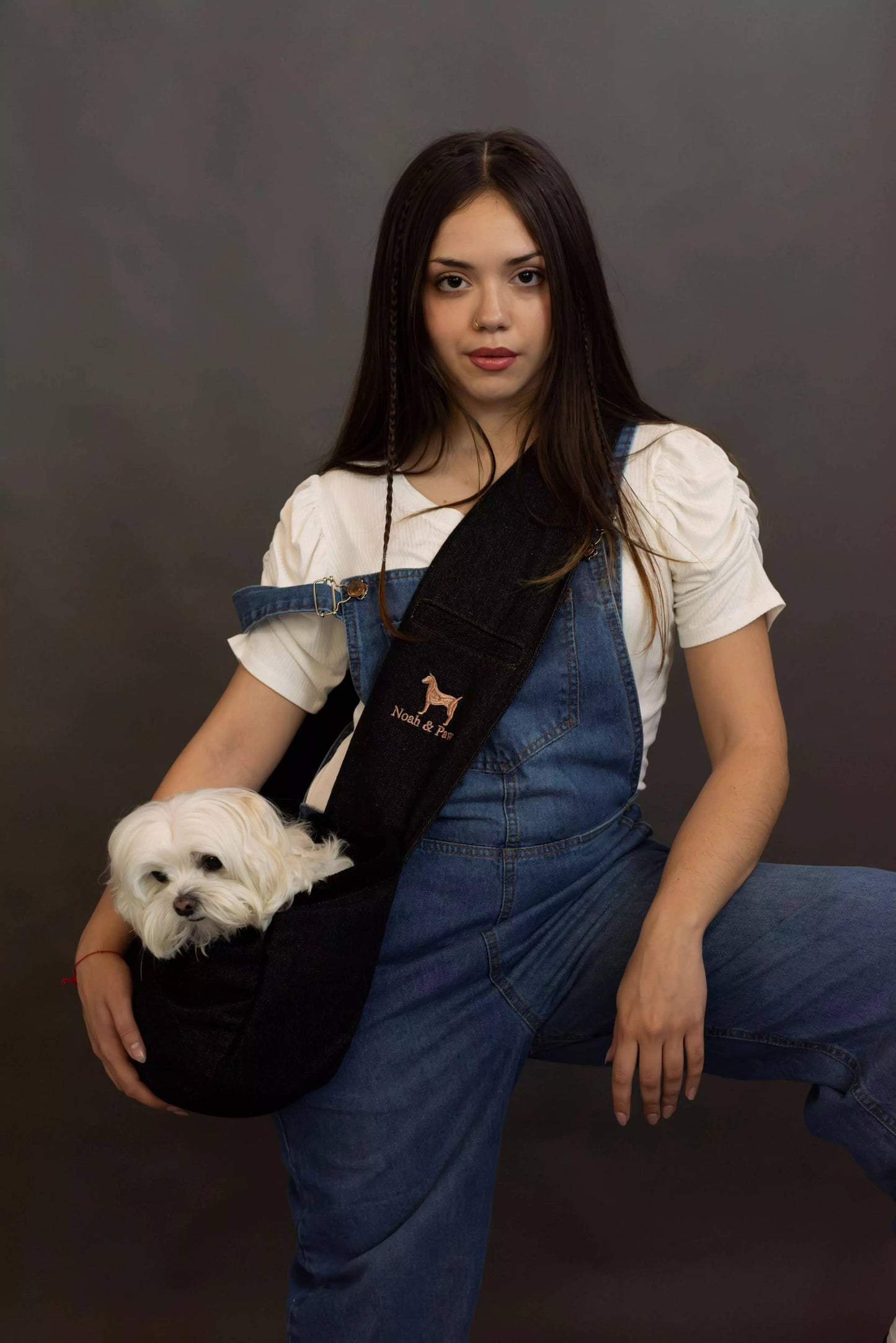 Noah & Paw - Premium Denim Haustier-Tragetasche mit 3-facher Sicherheit