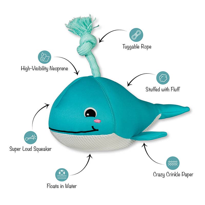 Only an Ocean Europe - Splashy - Schwimmspielzeug