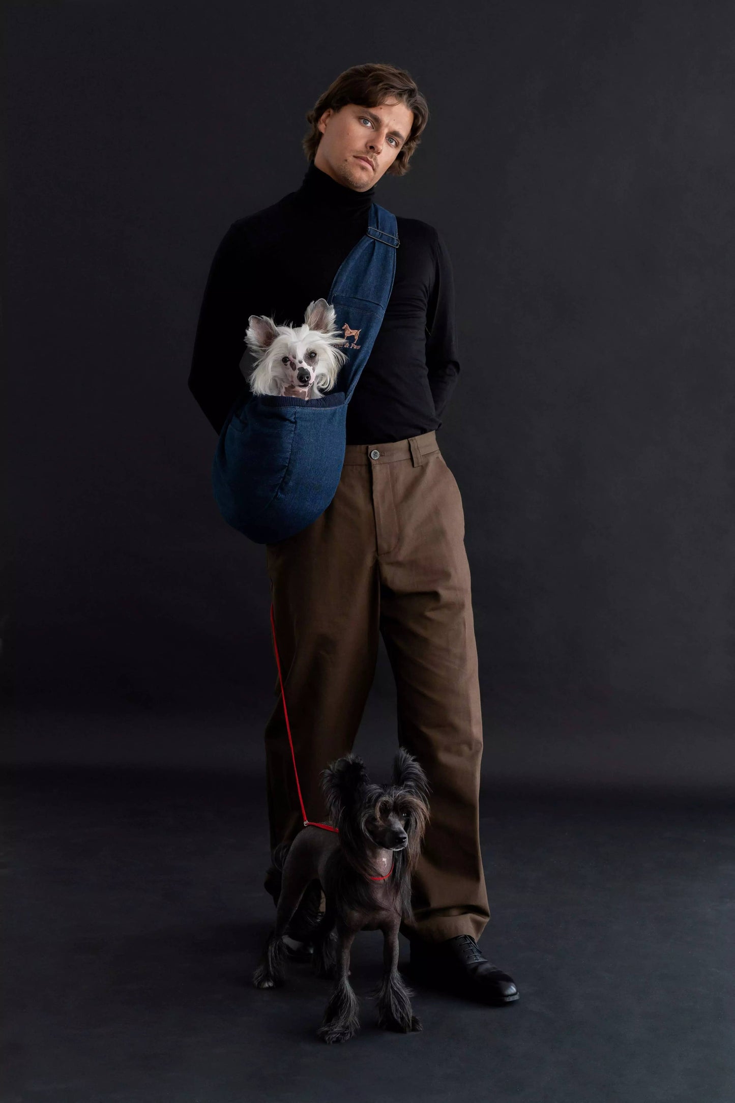 Noah & Paw - Premium Denim Haustier-Tragetasche mit 3-facher Sicherheit