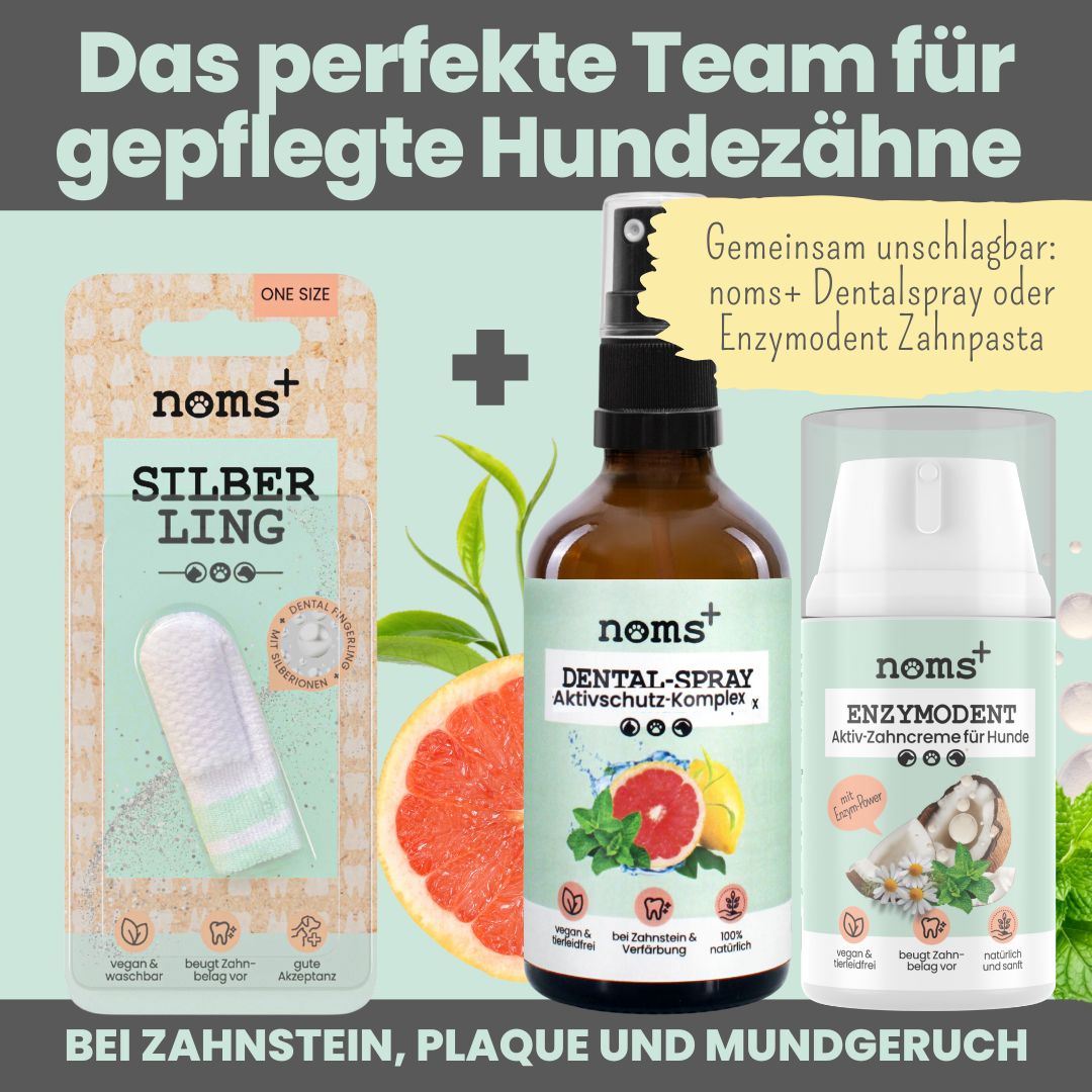 Noms+ - Silberling - Antibakterieller Zahnpflege-Fingerling für Hunde