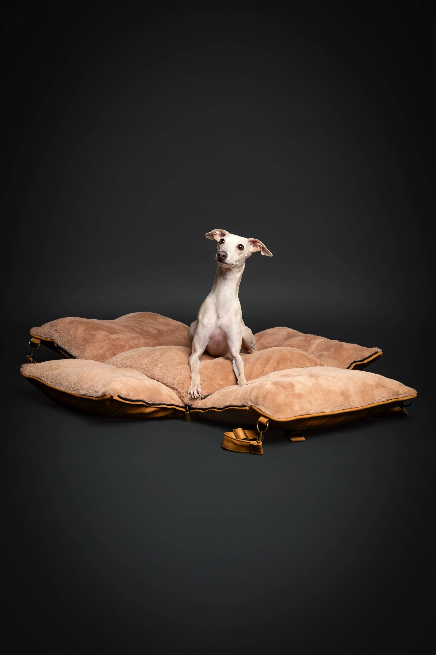 Noah & Paw - Hundesitzträger Orthopädischer Zerkleinerter Schaum, Kamel, Veganes Leder