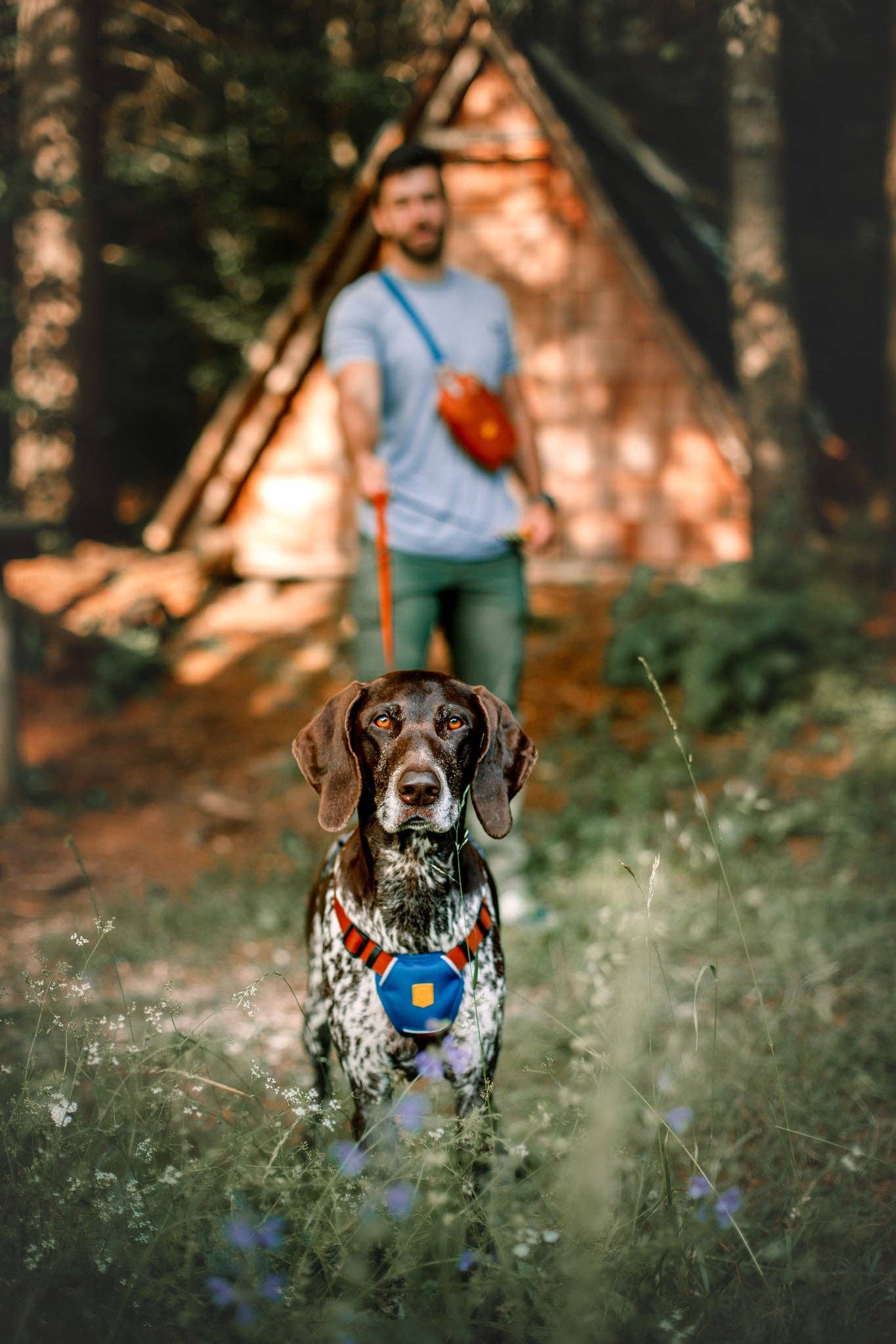 Woolly Wolf - Color Block Harness Limettenmix