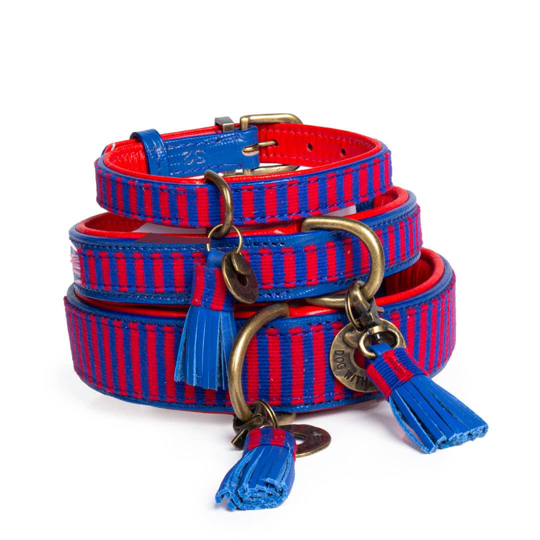 Dog with a Mission - Mr Clooney Hundehalsband