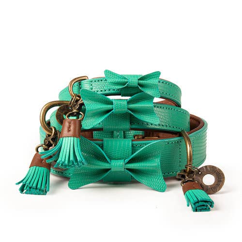 Dog with a Mission - Halsband City BOOMER