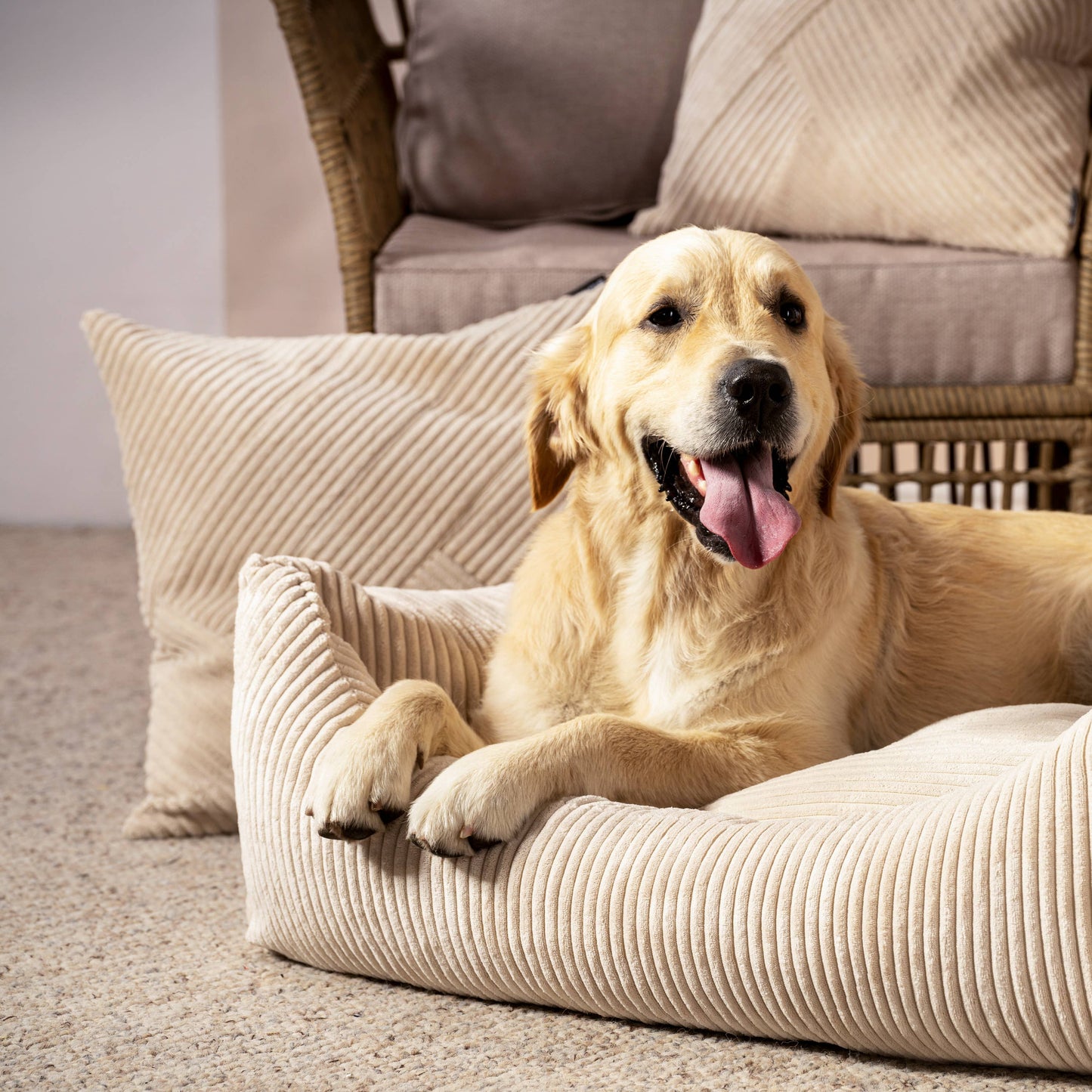 Mocadu - Orthopädisches Hundebett Cord - Hundekissen | Lichtgrau