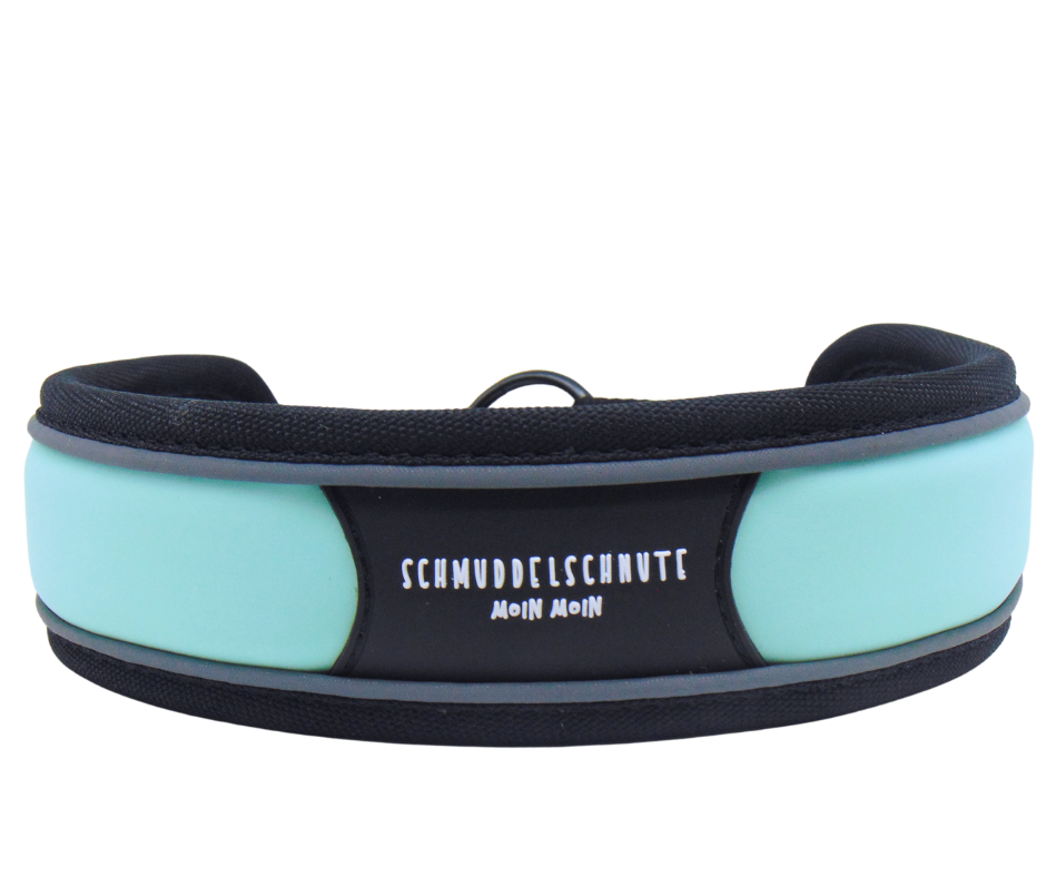 Schmuddelschnute - Hundehalsband "Allwedda" Mint