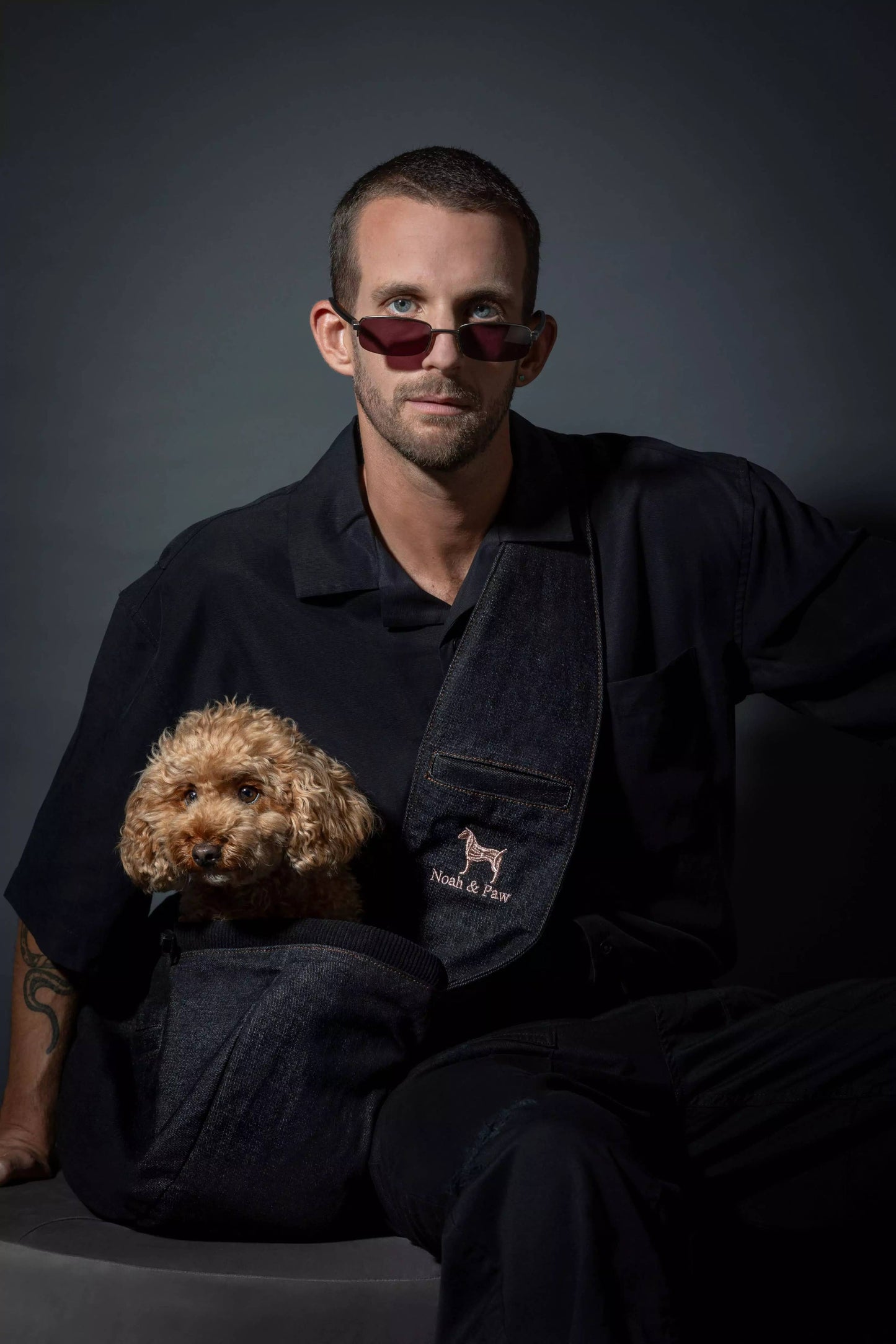 Noah & Paw - Premium Denim Haustier-Tragetasche mit 3-facher Sicherheit