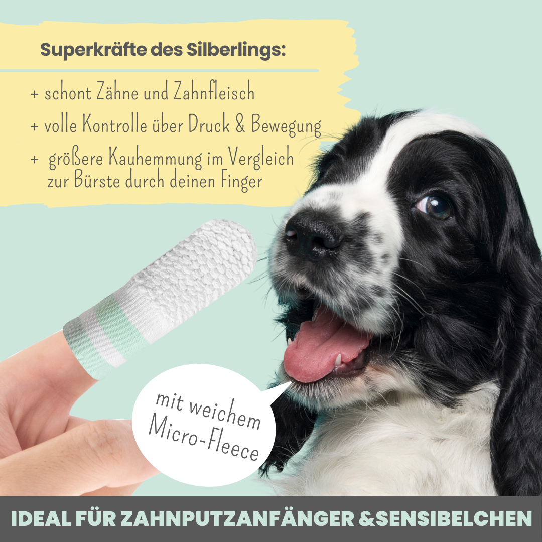 Noms+ - Silberling - Antibakterieller Zahnpflege-Fingerling für Hunde