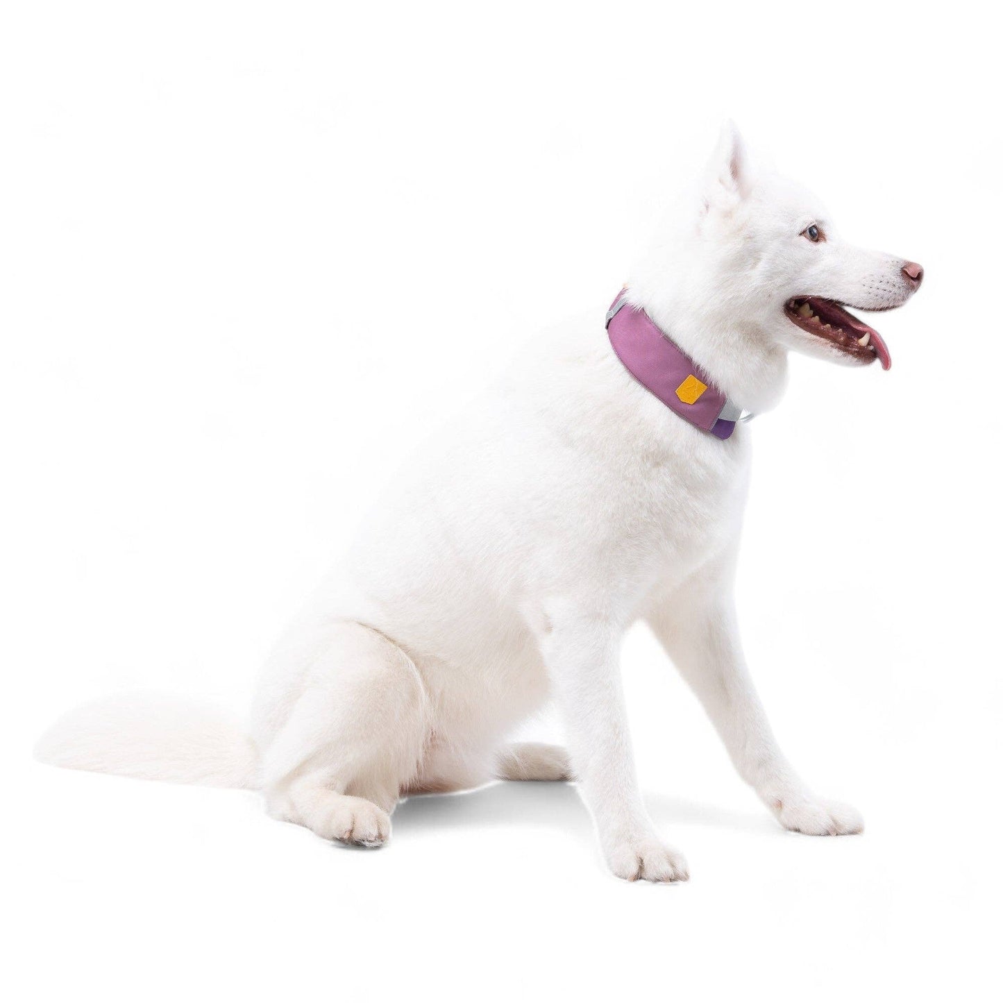 Alpha 360 Halsband Mauve Mix