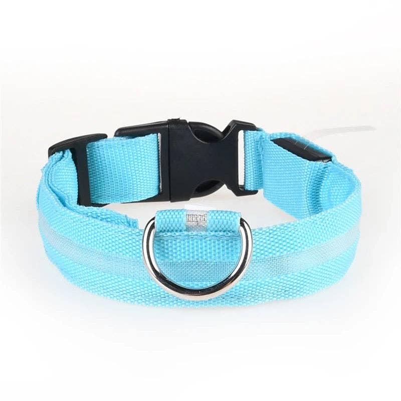Puppies & Pom Poms - Hundehalsband mit LED-Licht, Blau