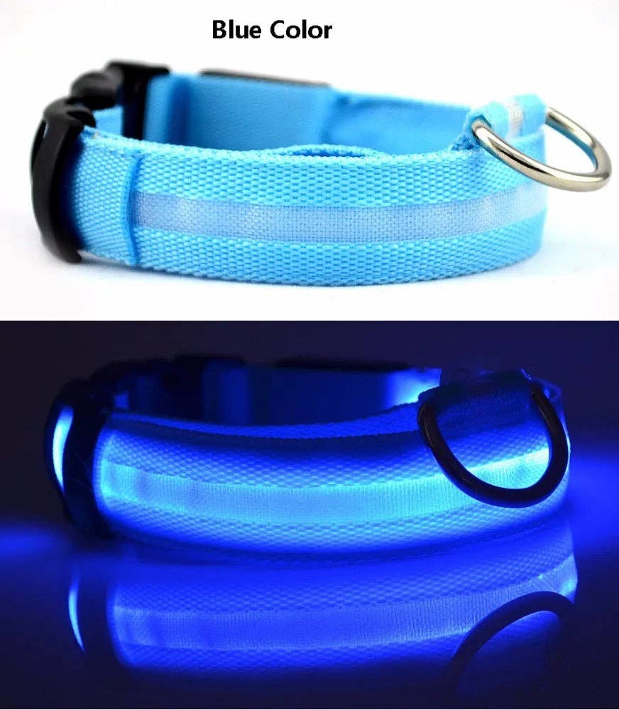 Puppies & Pom Poms - Hundehalsband mit LED-Licht, Blau