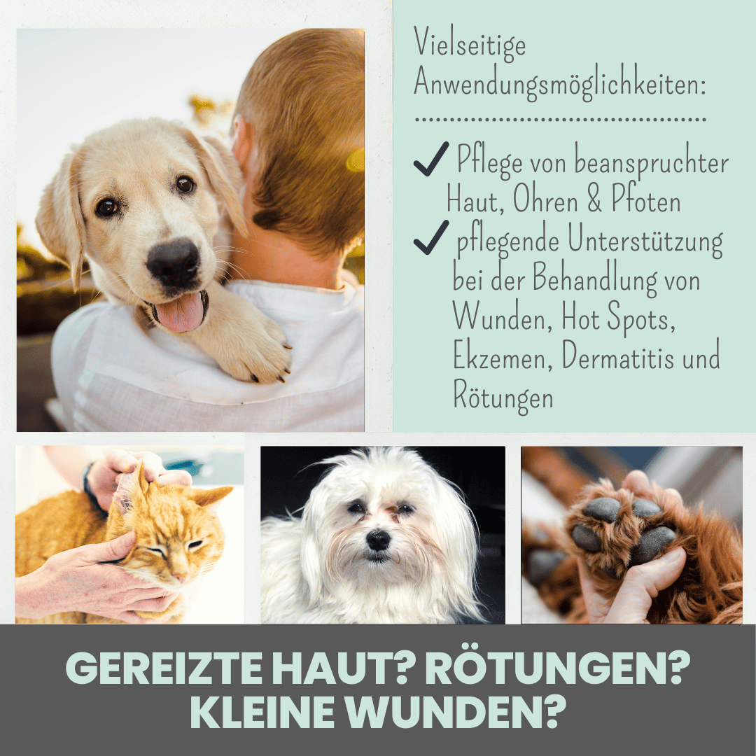 Noms+ - Silberspray für Hunde und Katzen mit 50ppm (100ml)
