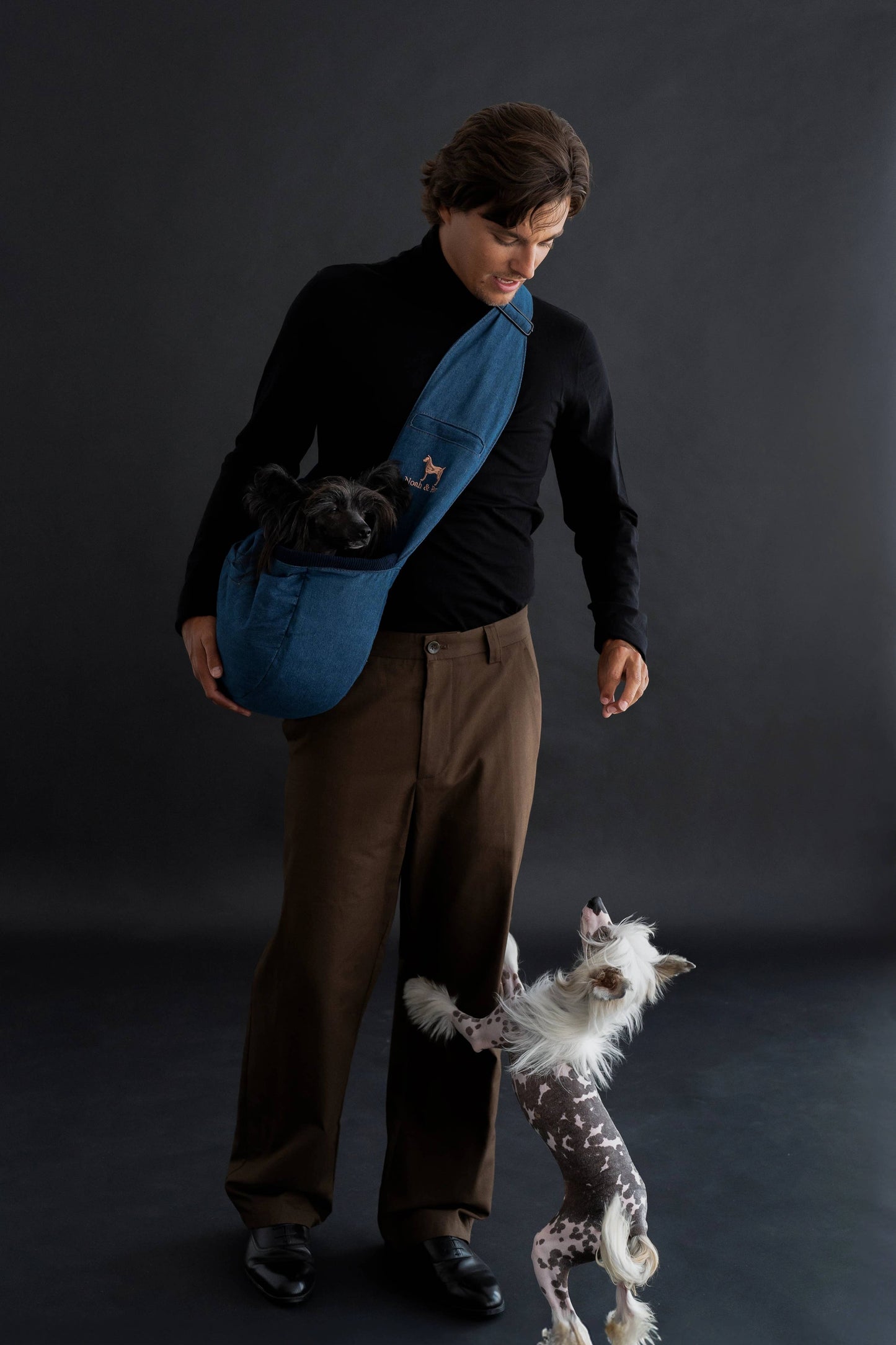 Noah & Paw - Premium Denim Haustier-Tragetasche mit 3-facher Sicherheit