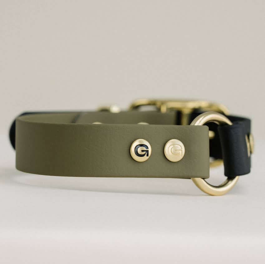 GULA - Klassisches Hundehalsband, Olivgrün und Schwarz (25 mm breit)