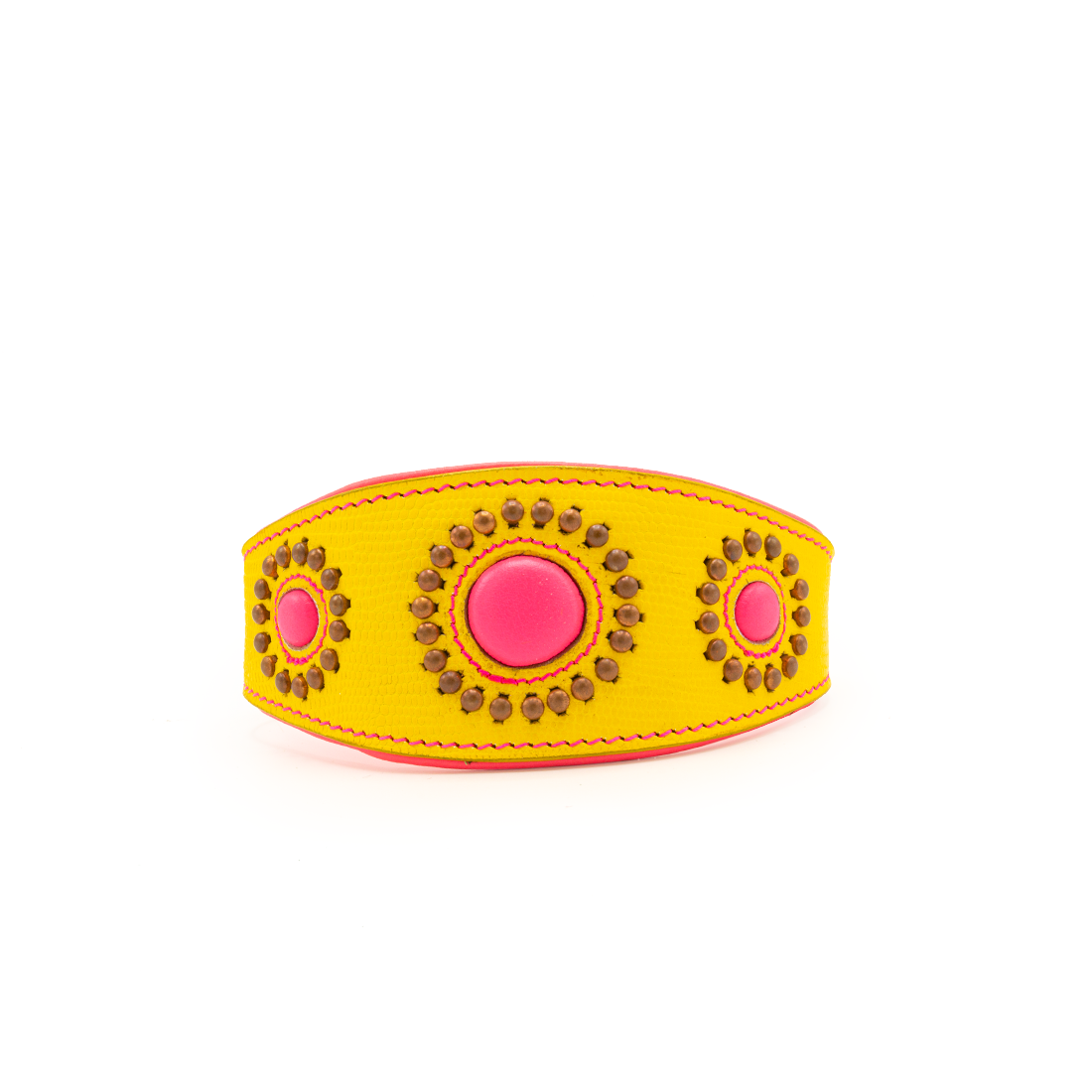 Dog with a Mission - Jessy Halsband Windhund