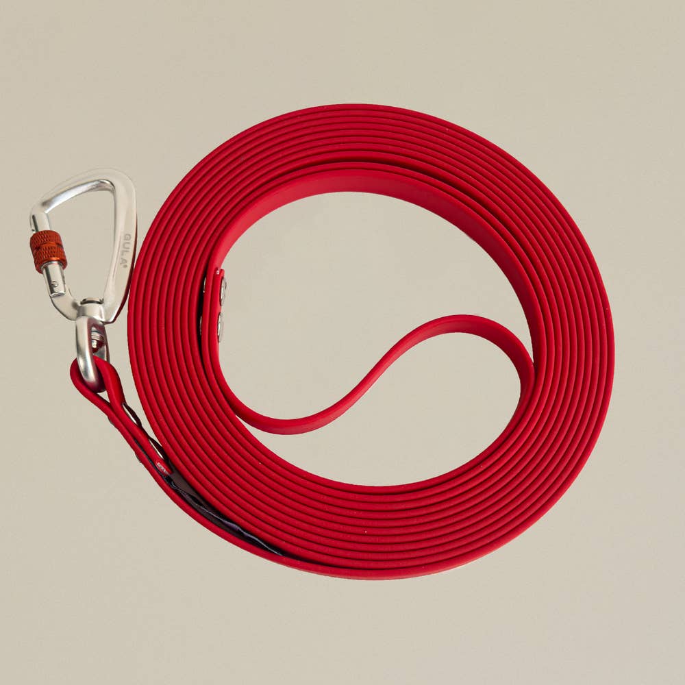 GULA - Biothane Trainingsleine - 10 Meter