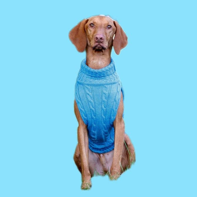 Kay-Line - Hundepullover SMARTY TÜRKIS 100 % Merinowolle