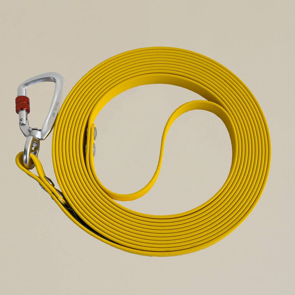GULA - Biothane Trainingsleine - 10 Meter