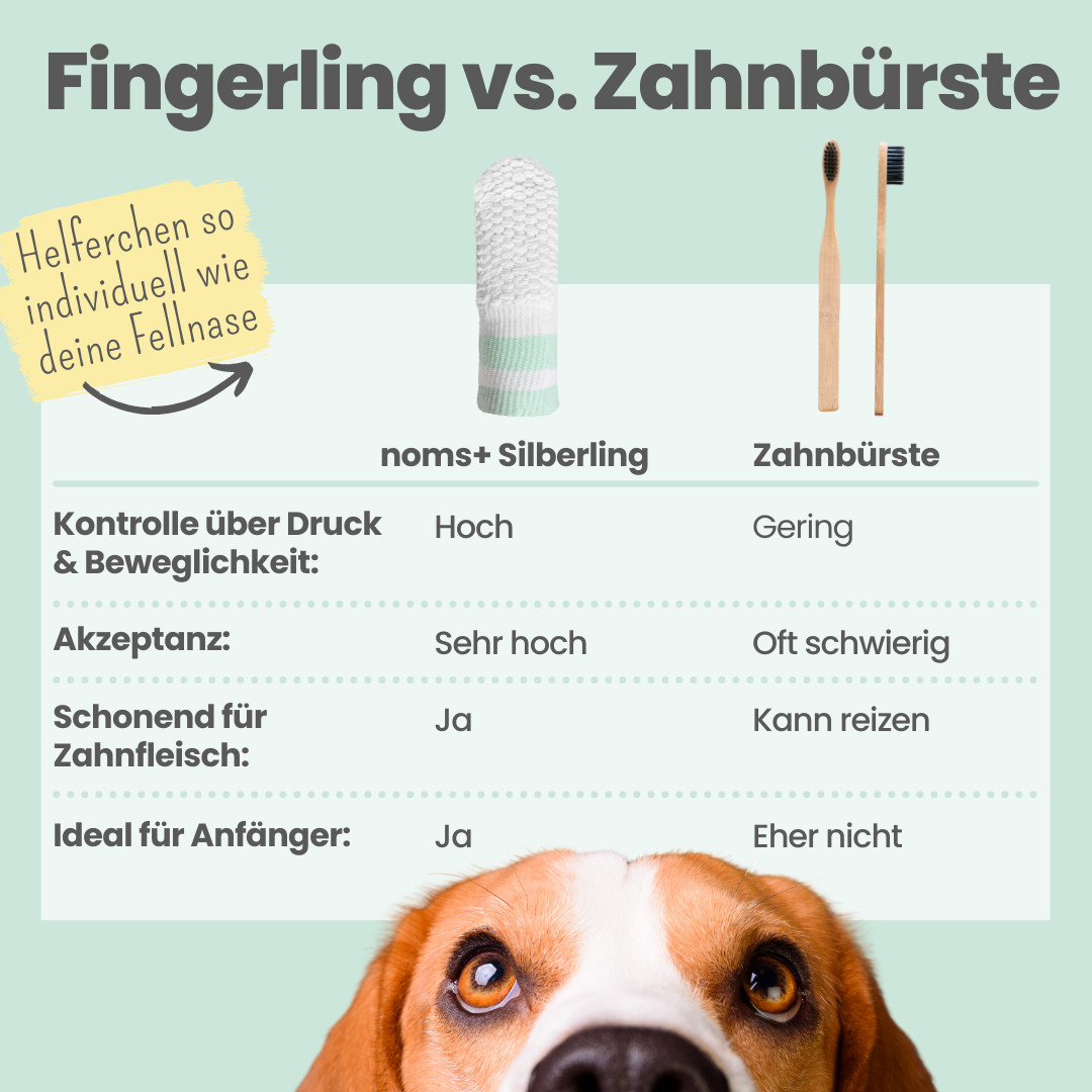 Noms+ - Silberling - Antibakterieller Zahnpflege-Fingerling für Hunde