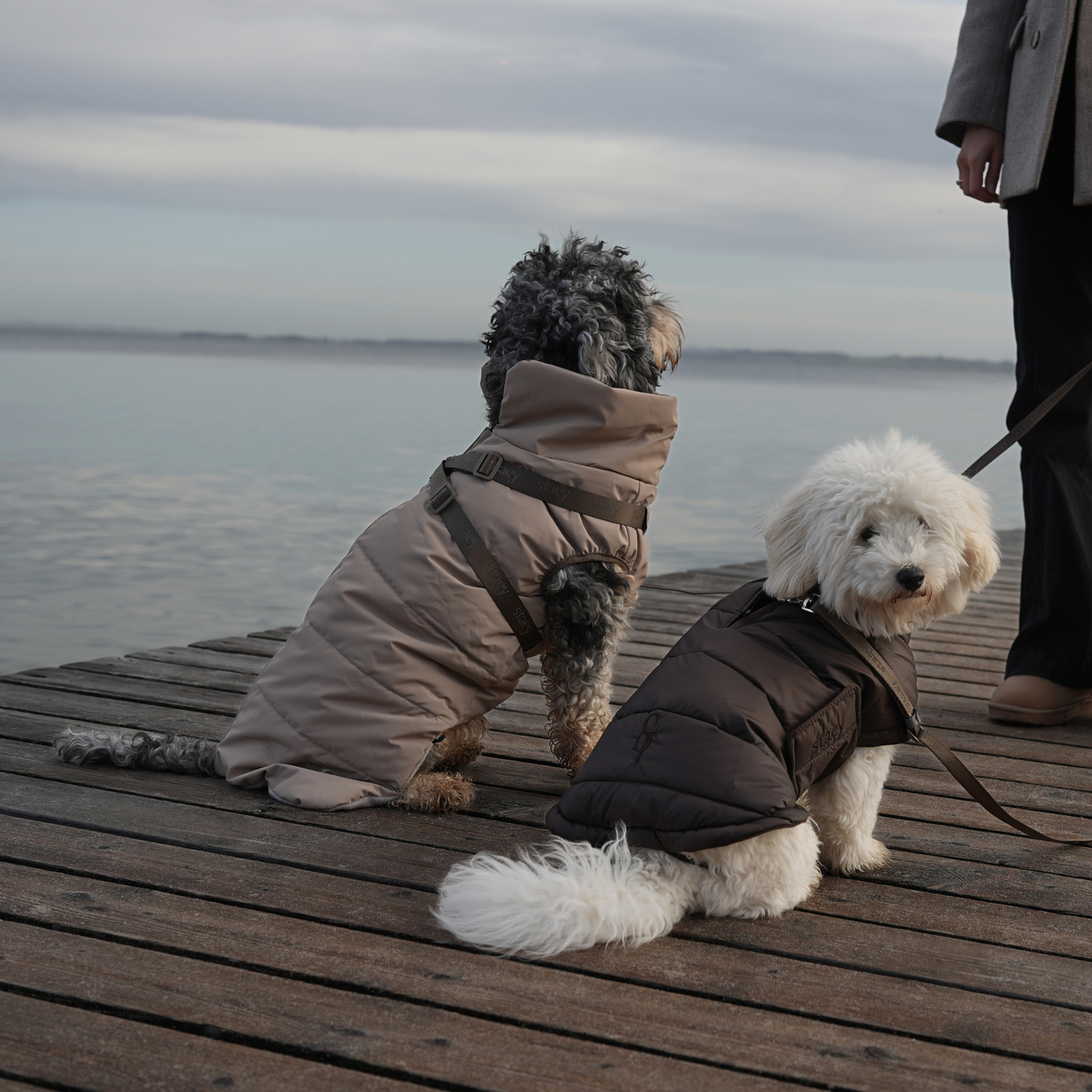 Staey - Nora Hundemantel | Espresso: XL