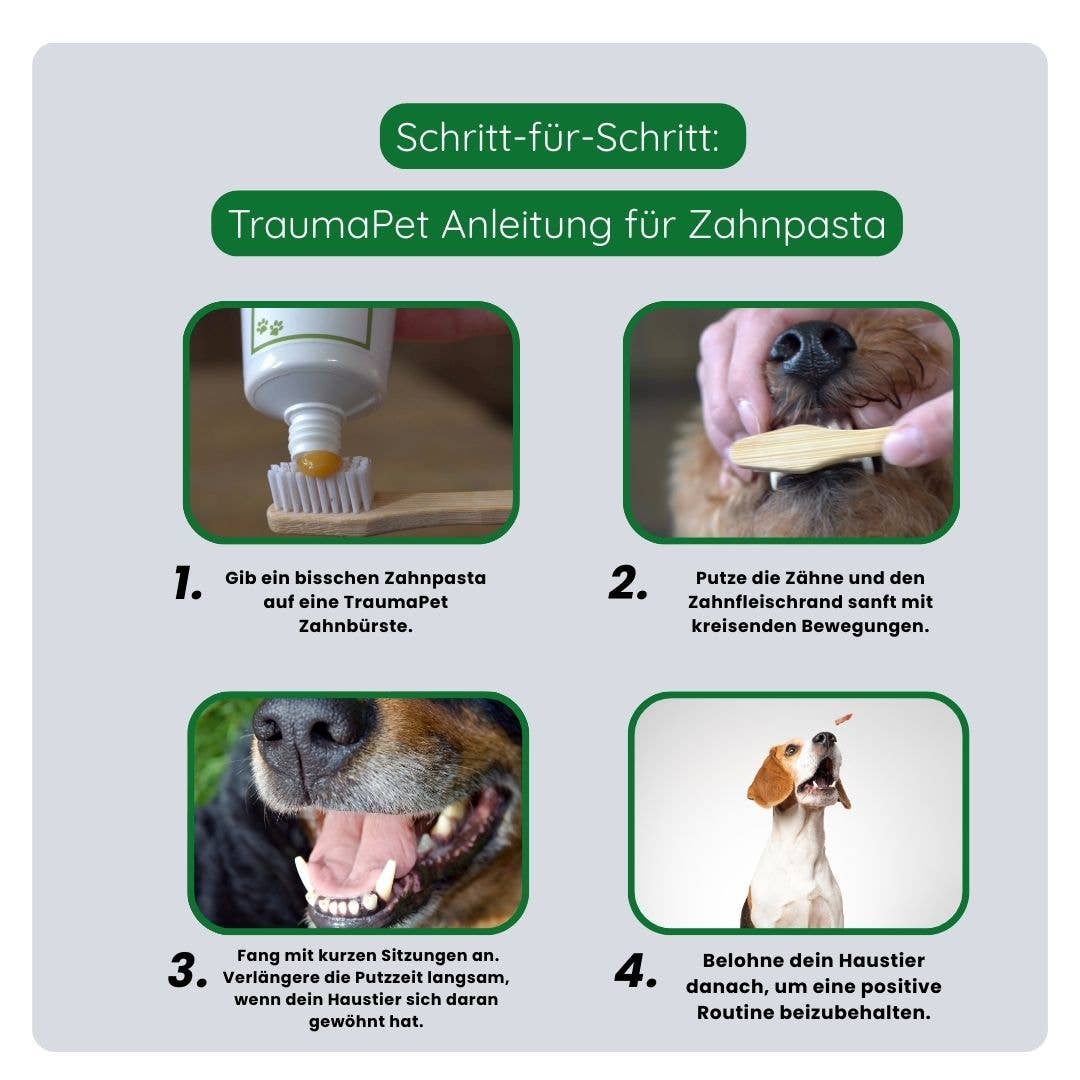 TraumaPet Deutschland - Zahnpasta für Hund & Katze 75 ml