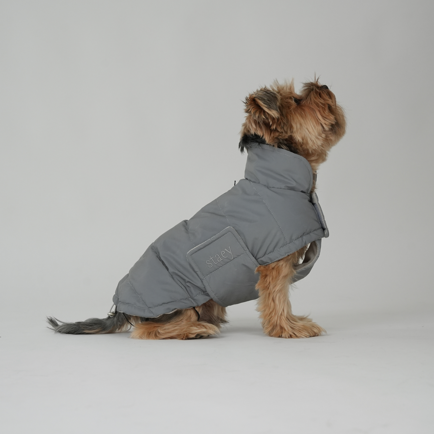 Staey - Hundemantel Nora | Reflektierend: S