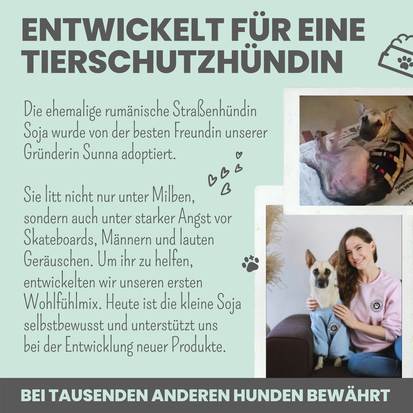 Noms+ - Wohlfühltabs für Hunde bei Stress, Angst & Unruhe