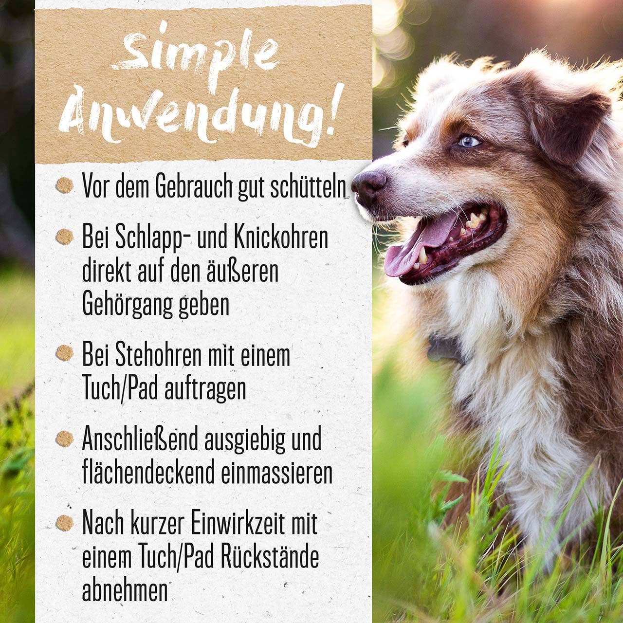 Alphazoo - Ohrmilbenöl SanftPlus, Gegen Ohrmilben für Hunde & Katzen