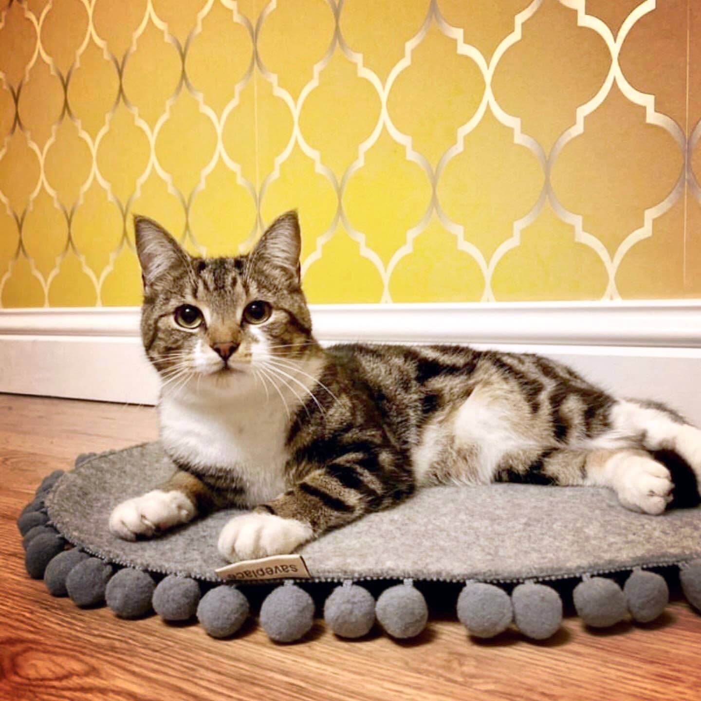 Safeplace - Runde Katzenmatte - kleine Pompons