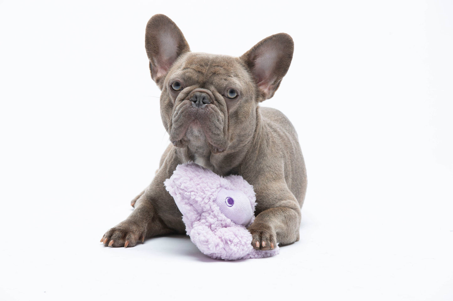 United Pets - Anti-Stress Kuscheltier mit ätherischen Ölen – Nocciolino