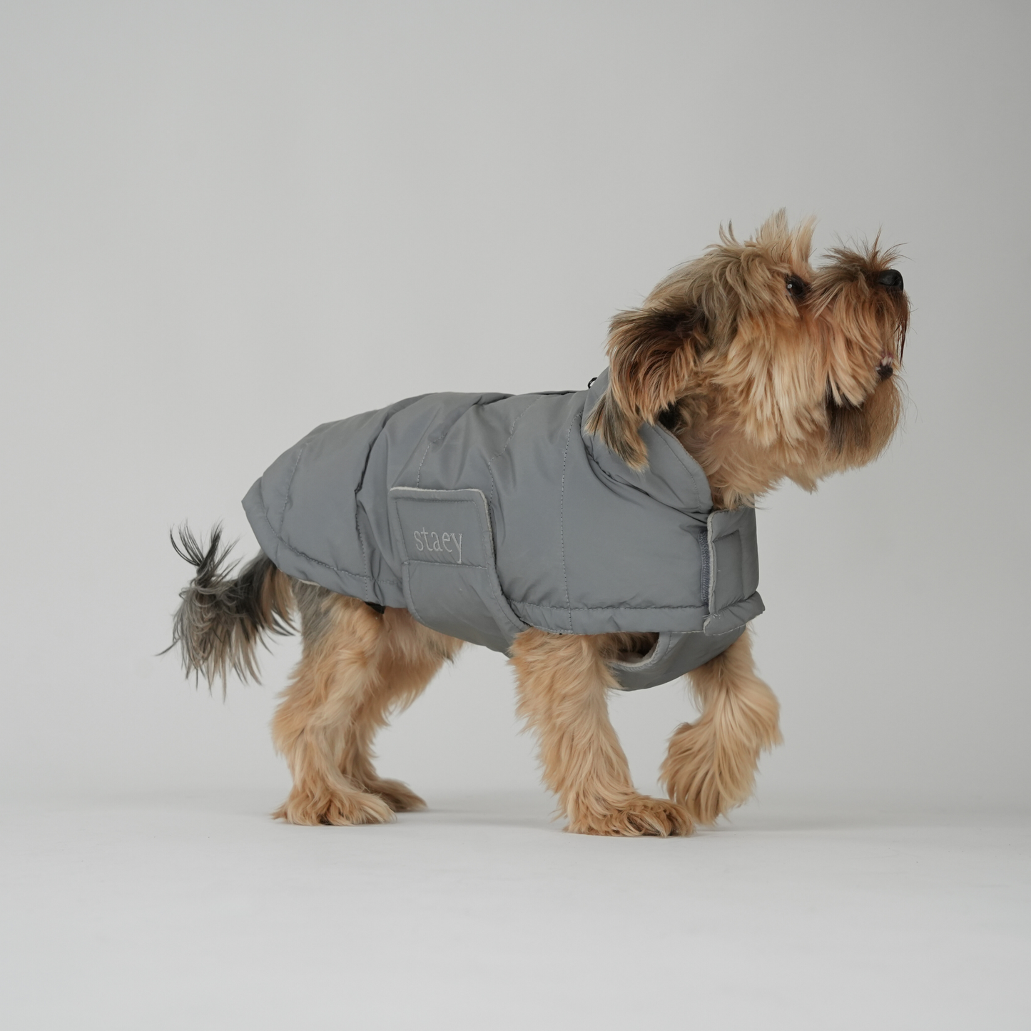 Staey - Hundemantel Nora | Reflektierend: XS