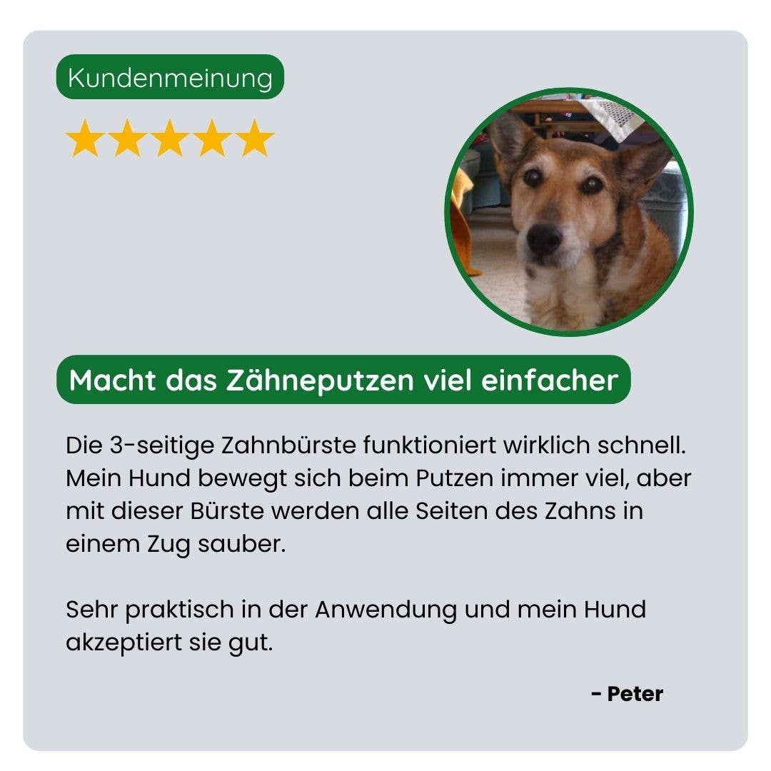 TraumaPet Deutschland - 3-seitige Zahnbürste für Hund und Katze
