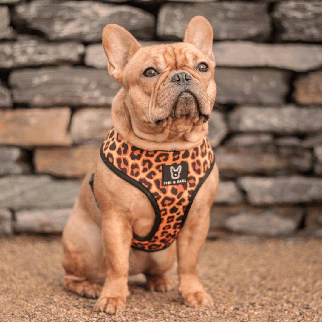 Fibi&KArl - 2-in-1 Hundegeschirr Go Wild Or Go Blue