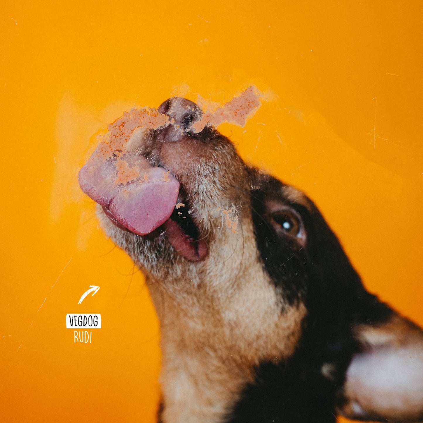VegDog - LEVERVURST - 75g
