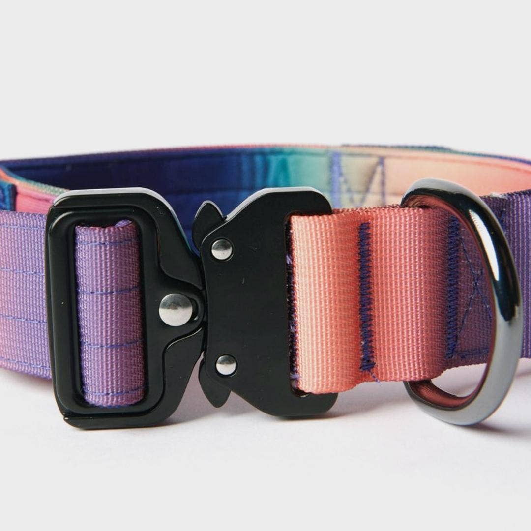 Spark Paws - Taktisches Hundehalsband — Kaleidoskop (1,5 Zoll/4 cm)