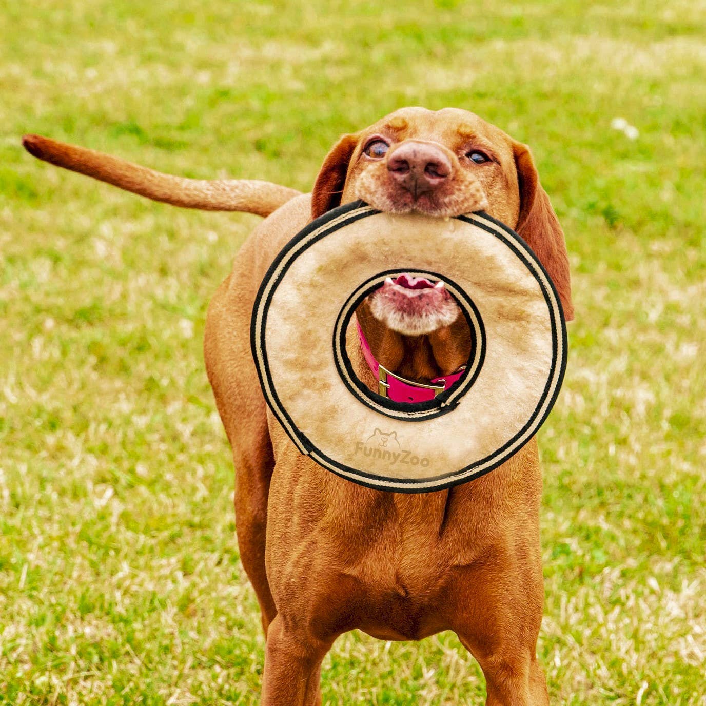 Funny Zoo - Frisbee-Hundespielzeug aus Wildleder