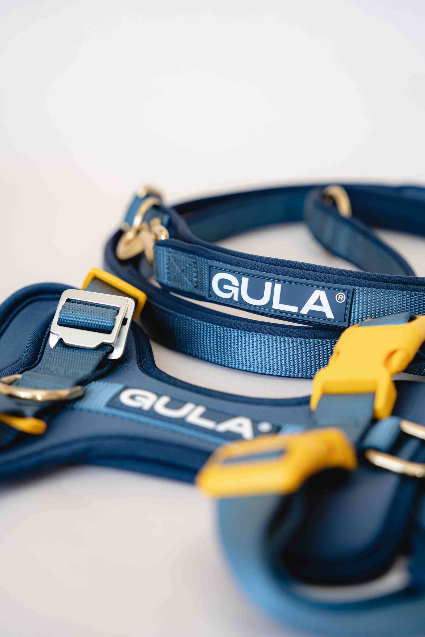 Gula - Hundeleine (Luftschichtstoff) - Blau