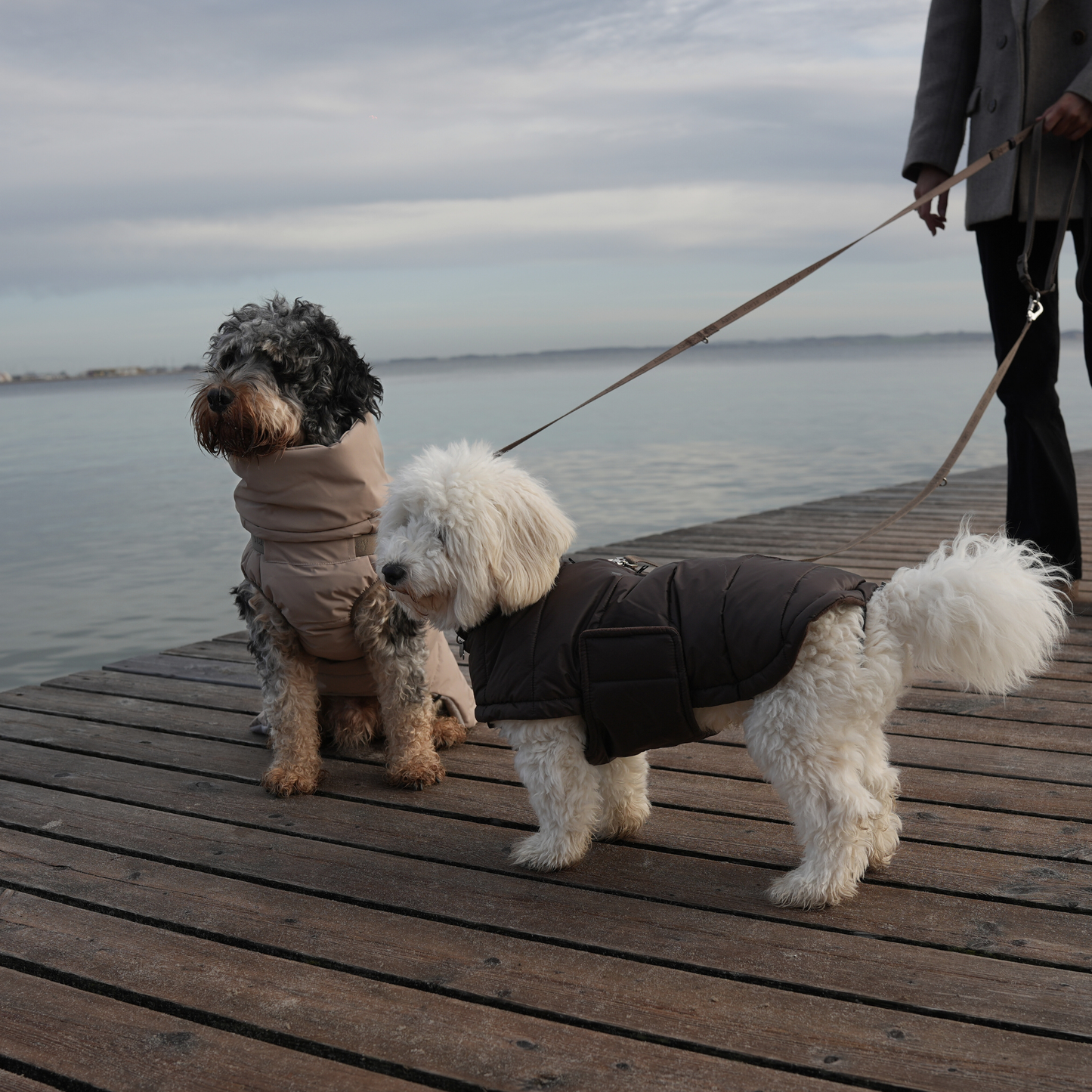 Staey - Nora Hundemantel | Espresso: XL