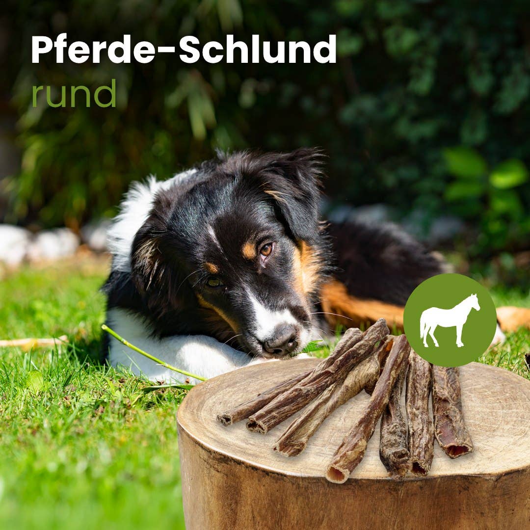 Kauartikel.com - Pferde-Schlund, rund - 250g