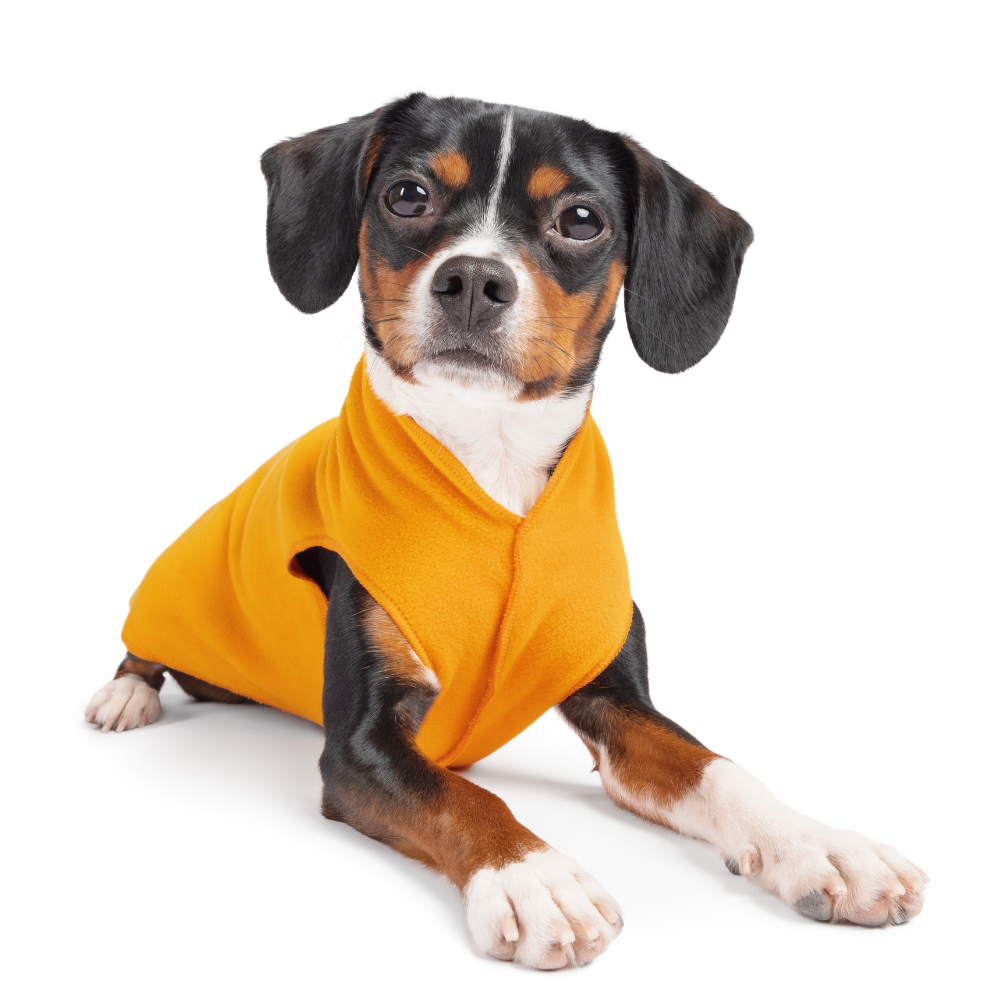 _Gold Paw - Stretch-Fleece Größen 2-12