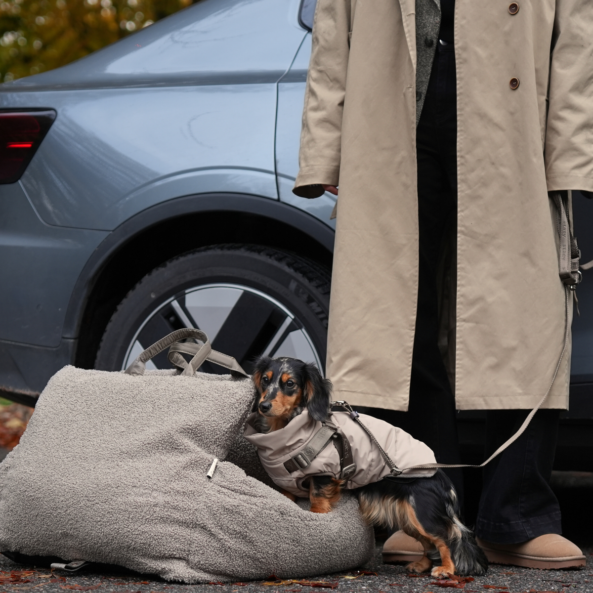 Staey - Vera Hundemantel mit Geschirr | Sand