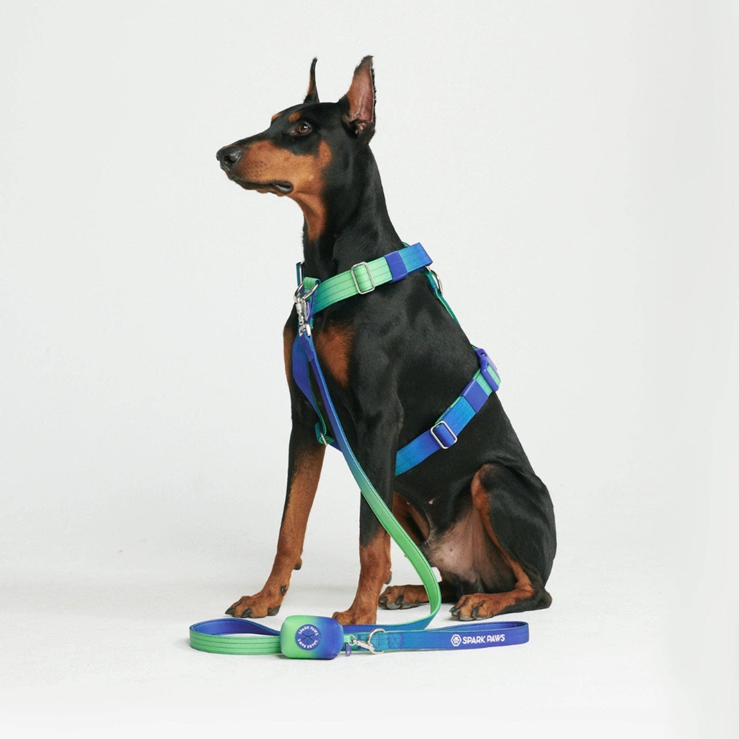 Sparkpaws Comfort Control Hundeleine - Lime Wave