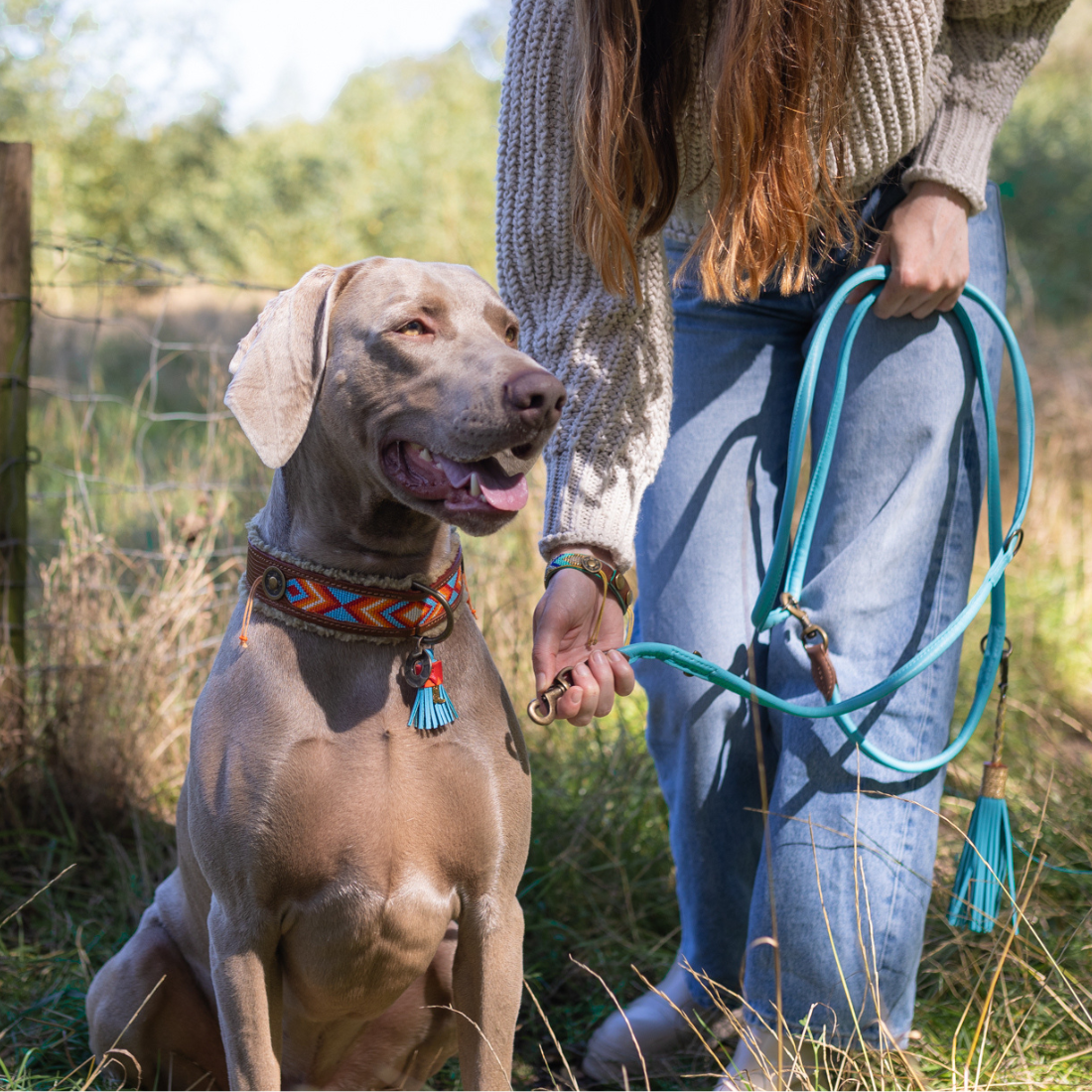 Dog with a Mission - Extra lange aqua-blaue Hundeleine XXS
