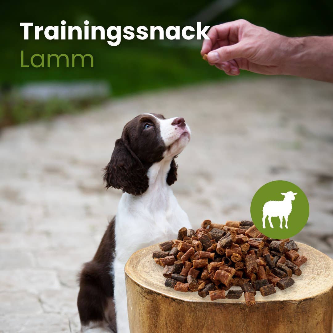 Kauartikel.com - Lamm-Sticks-Trainingssnack - 250g