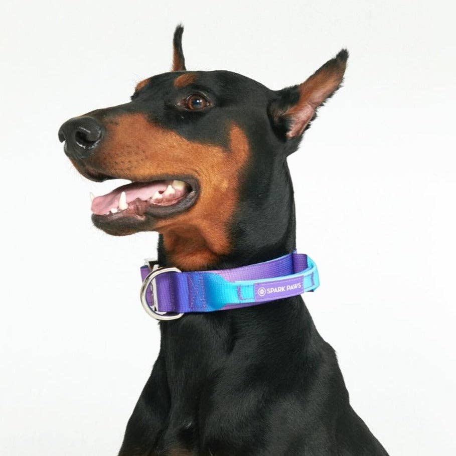 Spark Paws - Taktisches Hundehalsband — 90er Retro (1,5 Zoll/4 cm)