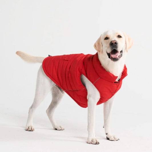 WarmShield wasserdichte Jacke, Rot
