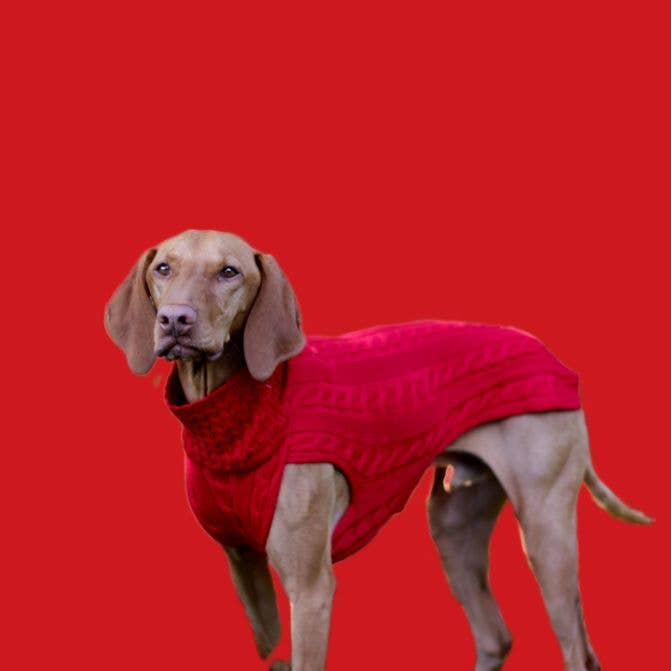 Kay-Line -Hundepullover SMARTY ROT 100 % Merinowolle  