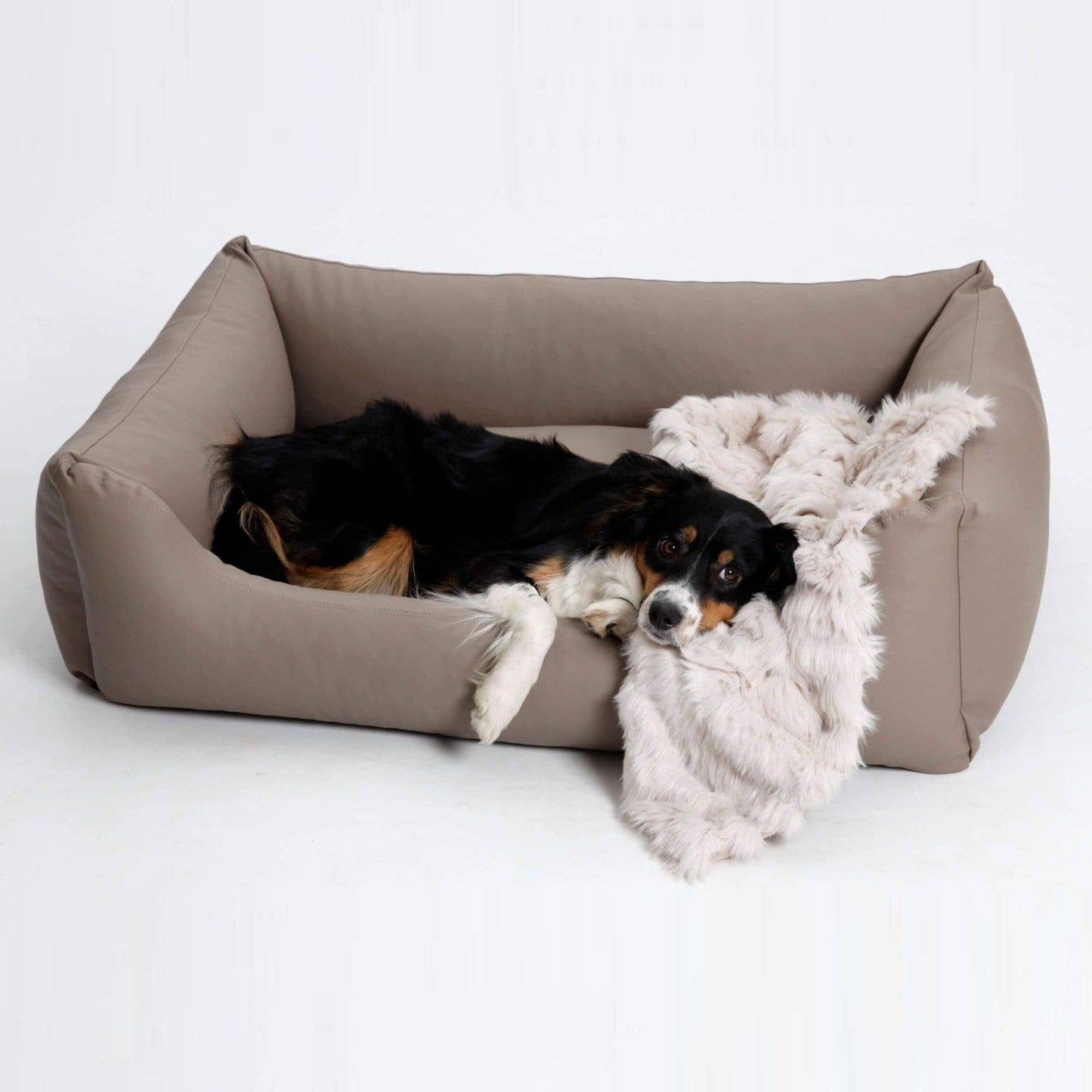 DOGS in the CITY® - Hundebett Box Bett Saddle Kunstleder - sand