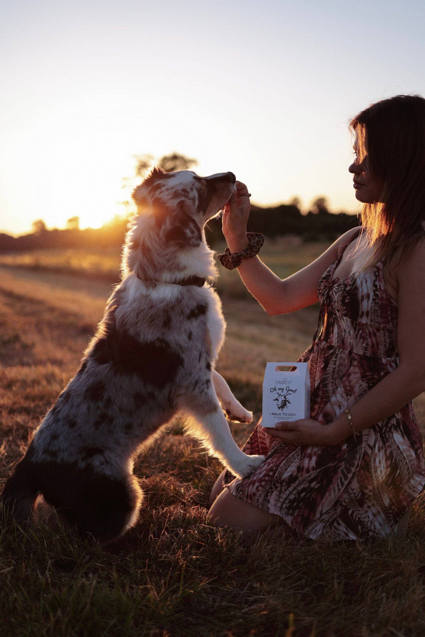 Pamico - Ziegenmilch gefriergetrocknet - oh my goat milk to go - für Hunde & Katzen